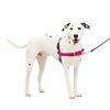 Image 1 : NEW PETSAFE EASY WALK NO PULL HARNESS MEDIUM