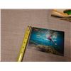 Image 8 : Box Multiple Surf Greeting Cards, 4 Designs, by Zak Noyle 5" x 7"