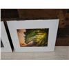 Image 8 : Qty 6 Matted Surf Photographic Art Prints, Misc Designs, by Zak Noyle 10" x 8"