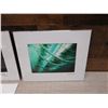 Image 8 : Qty 6 Matted Surf Photographic Art Prints, Misc Designs, by Zak Noyle 10" x 8"