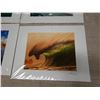 Image 8 : Qty 9 Matted Surf Photographic Art Prints, Misc Designs, by Zak Noyle 14" x 11"