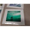 Image 8 : Qty 9 Matted Surf Photographic Art Prints, Misc Designs, by Zak Noyle 14" x 11"