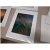 Image 8 : Qty 9 Matted Surf Photographic Art Prints, Misc Designs, by Zak Noyle 14" x 11"