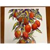Image 2 : Ripe Mangoes by Peggy Chun, Art Print on Poster Paper 24" x 22"