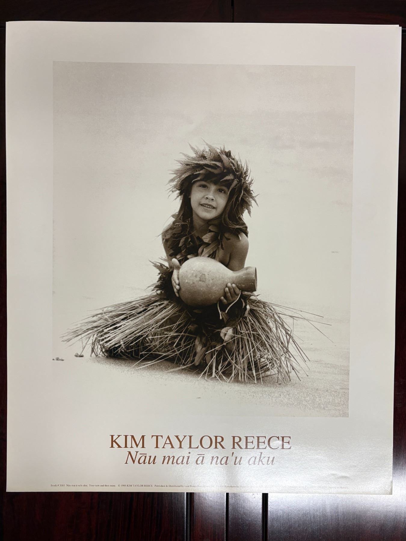 Nau Mai A Nau Aku by Kim Taylor Reece, Art Print 20