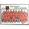 Image 1 : 1975-76 O-PEE-CHEE DETROIT RED WINGS