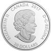 Image 2 : 2017 $20 Canadiana Kaleidoscope: Maple Leaf - Pure Silver Coin
