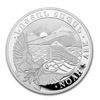 Image 1 : Noah's Arc Armenia .999 Fine Silver Round  100