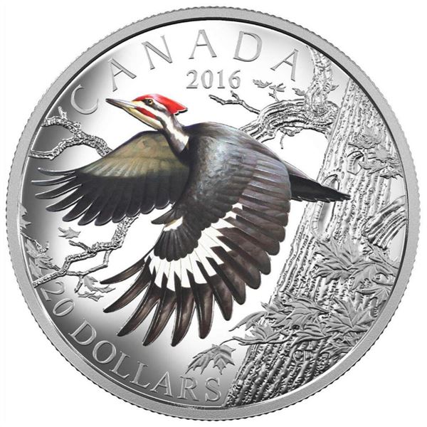 2016 $20 The Migratory Birds Convention: 100 Years of Protection The Pileated Woodpecker - Pure Silv