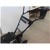 Image 3 : Benchmark 160cc Viper Rototiller 