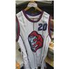 Image 1 : Signed Damon Stoudamine Toronto Raptors