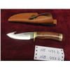 Image 1 : Buck 191 Zipper 4 1/4'' Fixed Guthook 420HC 