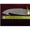 Image 2 : Buck 191 Zipper 4 1/4'' Fixed Guthook 420HC 
