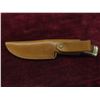 Image 6 : Buck 191 Zipper 4 1/4'' Fixed Guthook 420HC 