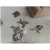 Image 1 : 4 Chains all with 2 Hooks - 12ft to 20ft
