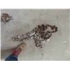Image 3 : 4 Chains all with 2 Hooks - 12ft to 20ft