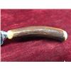 Image 3 : 6 James Lodge Sheffield England Real Antler Steak 