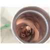Image 10 : 228 Pennies : Counted and Organized by Year