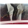 Image 2 : Tim Robbins Actor Autographed 8'' x 10'' Photo
