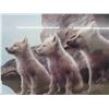 Image 2 : Framed Wolf Pups Picture 24'' x 30'' 