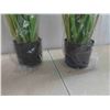 Image 2 : Haispring Artificial Plants 2 Pack 46'' Tall   - New or 