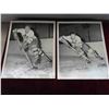 Image 2 : 8 Vintage 40s/50s Toronto Maple Leafs Quaker Oats 