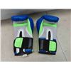 Image 2 : Like New Everlast Boxing Gloves 