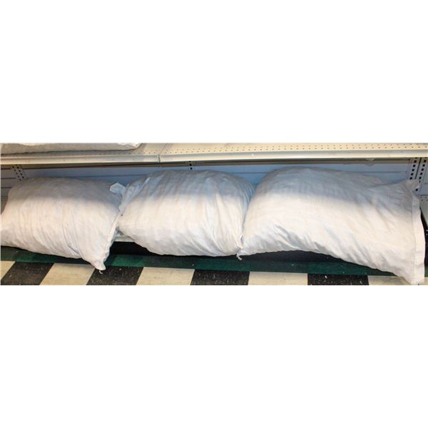 3 BAGS OF WHOLE WALNUTS