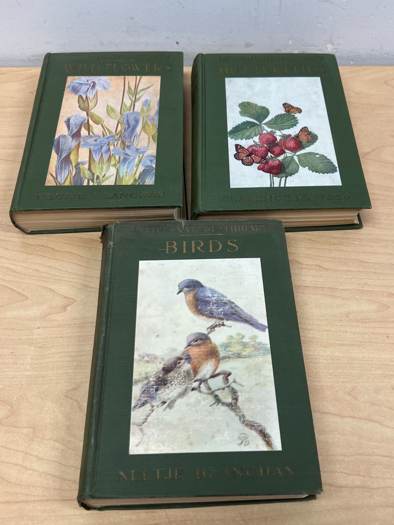 1920s Little Nature Library Books: Wild Flowers / Butterflies / Birds ...