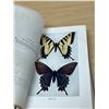 Image 4 : 1943 Comstock How To Know The Butterflies Book - see all photos for condition