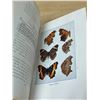 Image 5 : 1943 Comstock How To Know The Butterflies Book - see all photos for condition