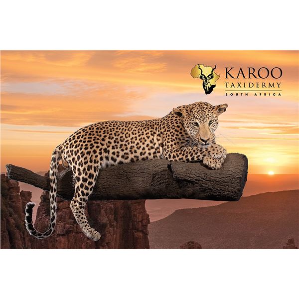 Karoo Taxidermy $2000 Credit