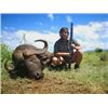 Image 2 : 7 day Cape Buffalo Cow Hunt x2 Free State SA Ikamela Safaris