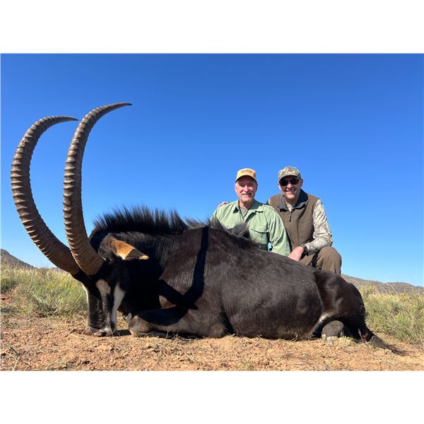 Sable Hunt with Trek Safaris South Africa