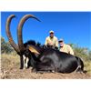 Image 2 : Sable Hunt with Trek Safaris South Africa