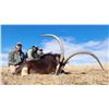 Image 3 : Sable Hunt with Trek Safaris South Africa
