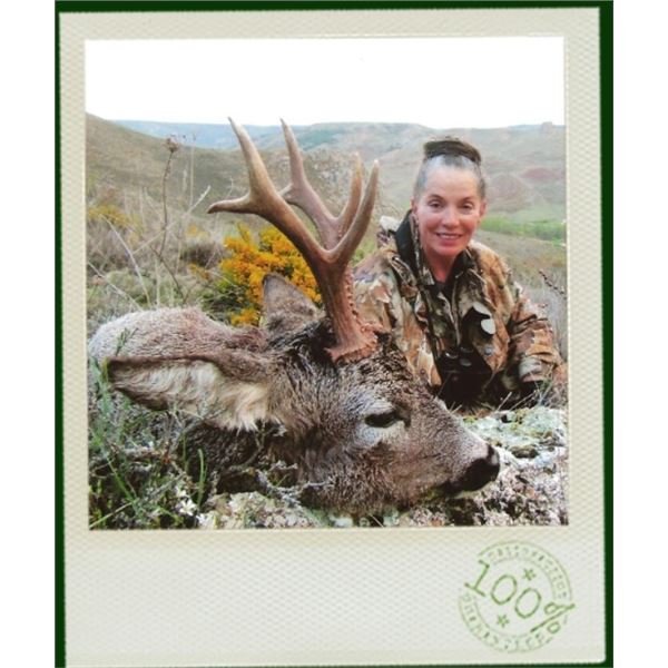 Roe Deer Hunt with Fernando Saiz in Spain