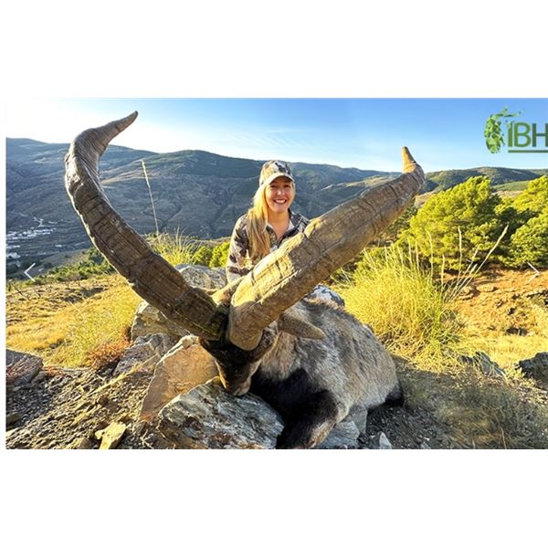 Spainish Ibex Hunt with Iberhunting Spain