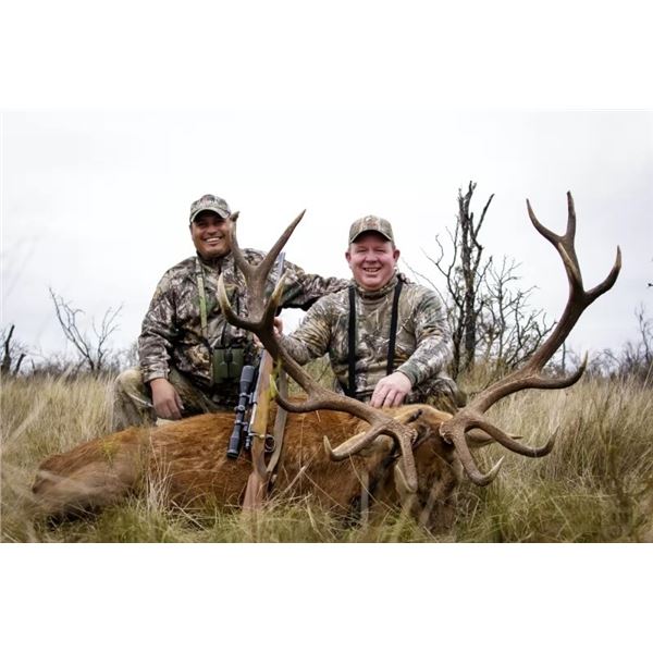 Argentina Free Range Red Stag Hunt for 2