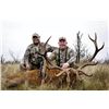 Image 1 : Argentina Free Range Red Stag Hunt for 2