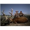 Image 3 : Argentina Free Range Red Stag Hunt for 2