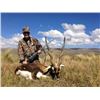 Image 3 : Argentina Black Buck Hunt for 2