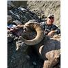 Image 1 : Rocky Mtn Bighorn Sheep Hunt Alberta