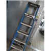 Image 1 : Werner FG 6' Stepladder