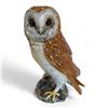 Image 1 : BESWICK - BARN OWL