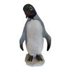 Image 1 : CYBIS - PENGUIN