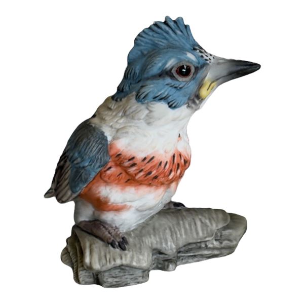 BOEHM - FLEDGLING KINGFISHER