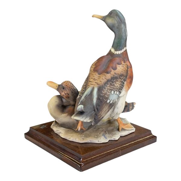 GUISEPPE ARMANI - DUCKS