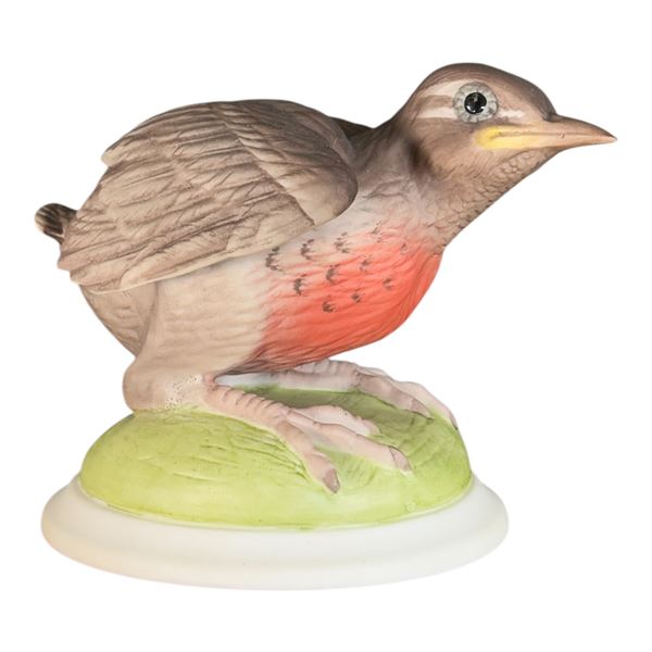 BOEHM - BABY ROBIN