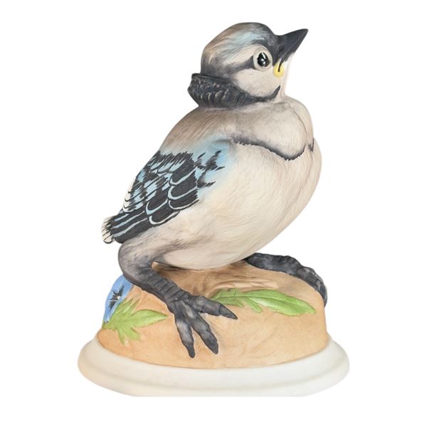 BOEHM - BABY BLUE JAY